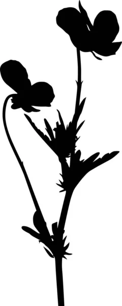 Ilustracja Sylwetką Kwiatu Izolowane Białym Tle — Wektor stockowy
