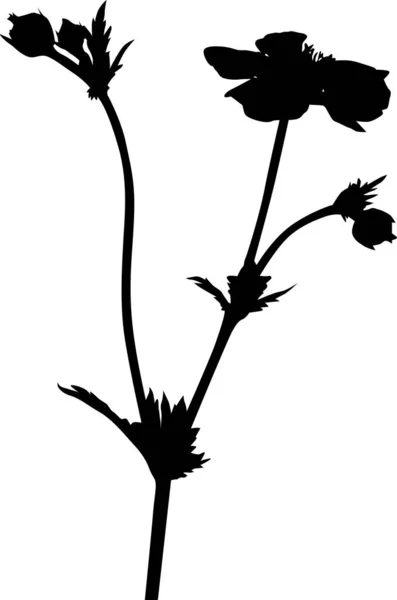 Illustration Med Blomma Siluett Isolerad Vit Bakgrund — Stock vektor