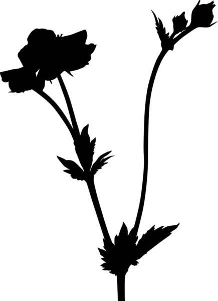 Illustration Med Blomma Siluett Isolerad Vit Bakgrund — Stock vektor