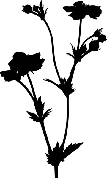 白地に切り取られた花のシルエットのイラスト — ストックベクタ