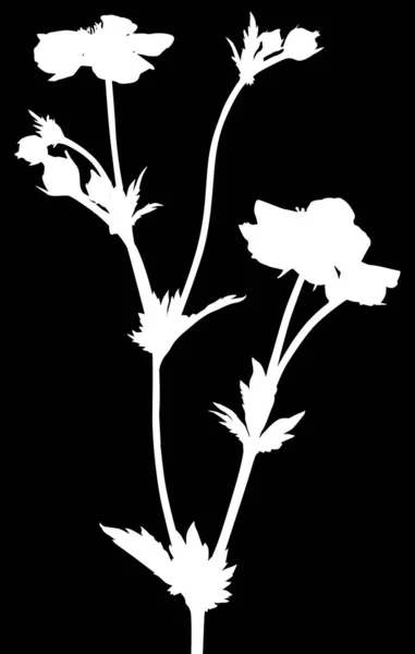 Illustration Flower Silhouette Isolated Black Background — Stock Vector