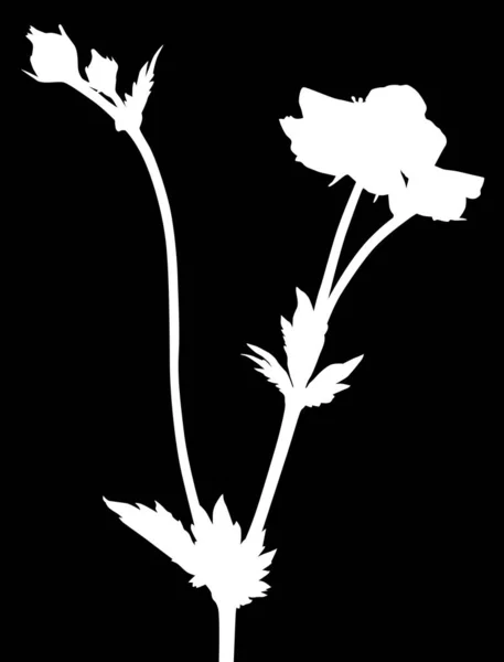 Ilustracja Sylwetką Kwiatu Izolowane Czarnym Tle — Wektor stockowy