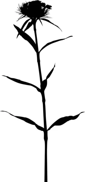 Illustration Avec Silhouette Florale Isolée Sur Fond Blanc — Image vectorielle