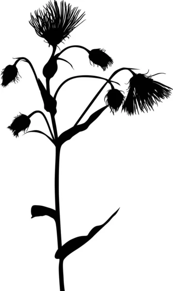 Illusztráció Virág Sziluett Elszigetelt Fehér Háttér — Stock Vector