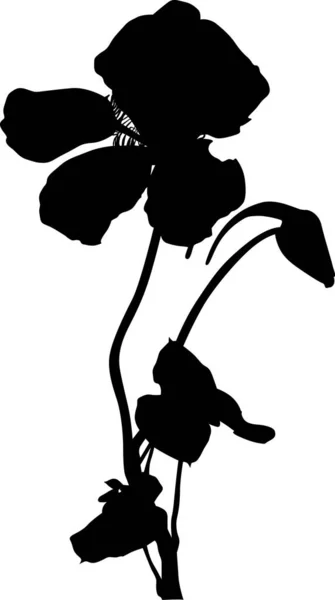 Illustration Mit Kapuzinerkressesilhouette Isoliert Auf Weißem Hintergrund — Stockvektor