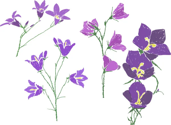 图上有四朵在白色背景上被隔离的紫丁香花 — 图库矢量图片