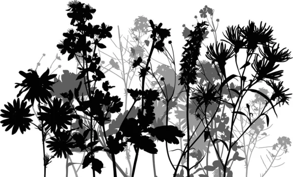 Illust Dzikimi Kwiatami Sylwetki Izolowane Białym Tle — Wektor stockowy