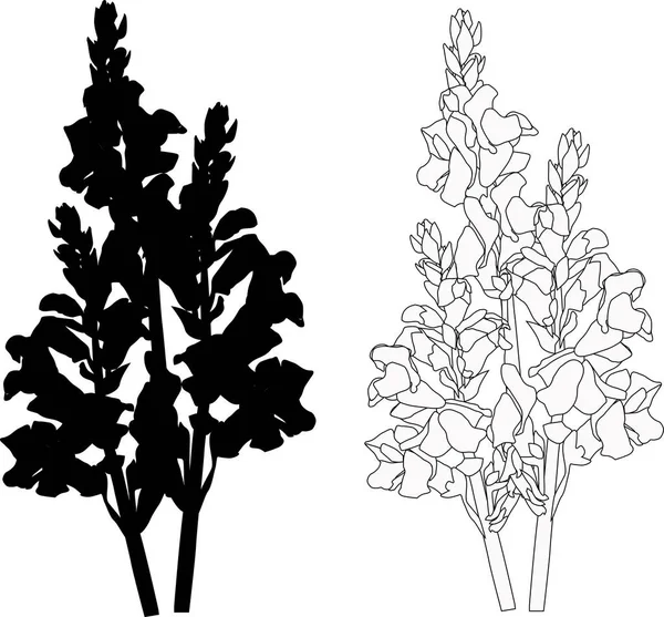 白を基調とした庭の花のシルエットのイラスト — ストックベクタ