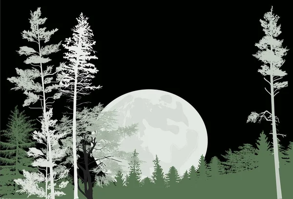 Illustration Green Forest Large Moon Black — Stock Vector