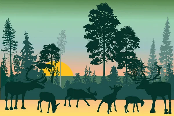 Illustration Med Rådjur Skogen — Stock vektor