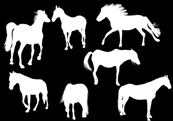 Ilustração Com Silhuetas Cavalo Isoladas Fundo Preto —  Vetores de Stock