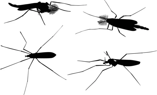 图上有四个在白色背景下隔离的蚊子轮廓 — 图库矢量图片