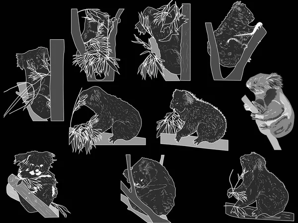 Illustration Med Svarta Skisser Koala Svart Bakgrund — Stock vektor