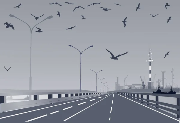 Illustration Seagulls Straight Road — Stock Vector