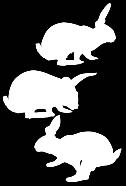 Illustration Rabbit Silhouettes Collection Isolated Black Background — Stock Vector
