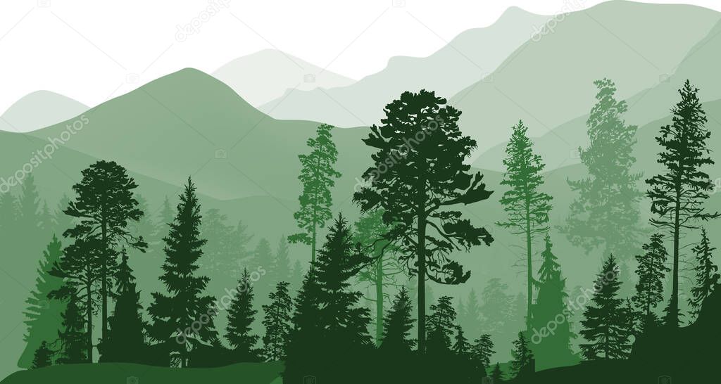 illustration with forest in mountains