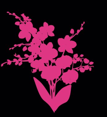 Siyah arkaplanda izole edilmiş orkide silueti ile illüstrasyon