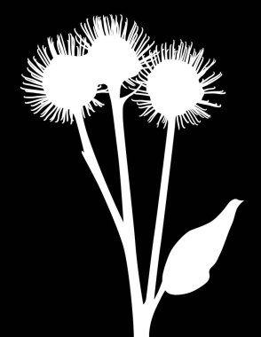 Siyah arkaplanda izole edilmiş burdock silueti ile illüstrasyon