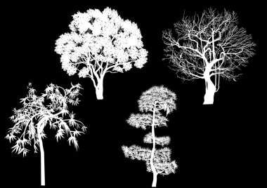 Siyah arkaplanda izole edilmiş ağaç siluetleri ile ilülasyon