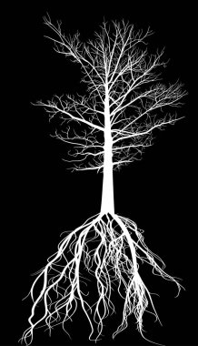 Siyah arkaplanda izole edilmiş beyaz büyük ağaç siluetine sahip illüstrasyon