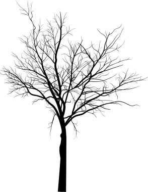 Beyaz arkaplanda izole edilmiş siyah büyük ağaç siluetine sahip illüstrasyon