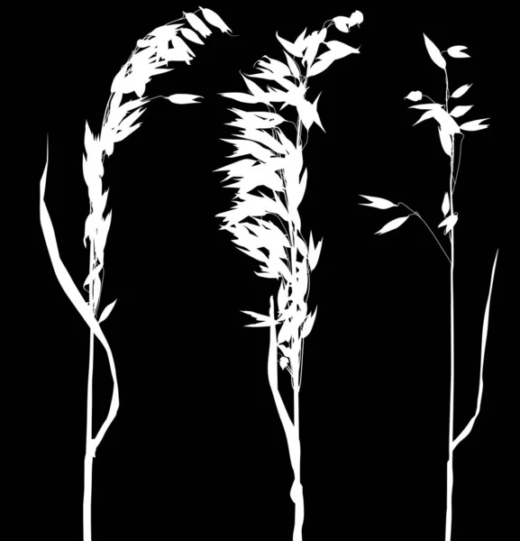 Illustration Avec Silhouettes Avoine Isolées Sur Fond Noir — Image vectorielle