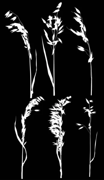 Illustration Avec Silhouettes Avoine Isolées Sur Fond Noir — Image vectorielle