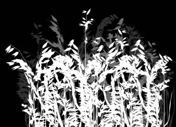 Illustration Avec Silhouette Avoine Isolée Sur Fond Noir — Image vectorielle