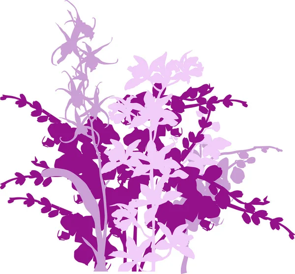 Ilustrace Orchidejí Siluety Izolované Bílém Pozadí — Stockový vektor