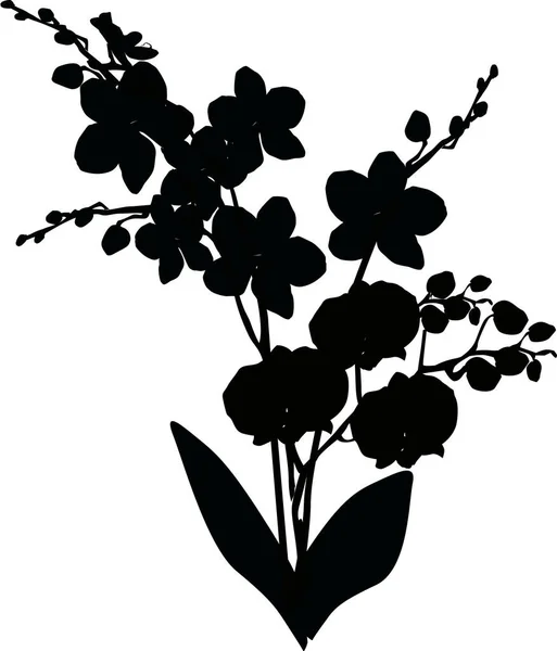 Illustration Avec Silhouette Orchidée Isolée Sur Fond Blanc — Image vectorielle