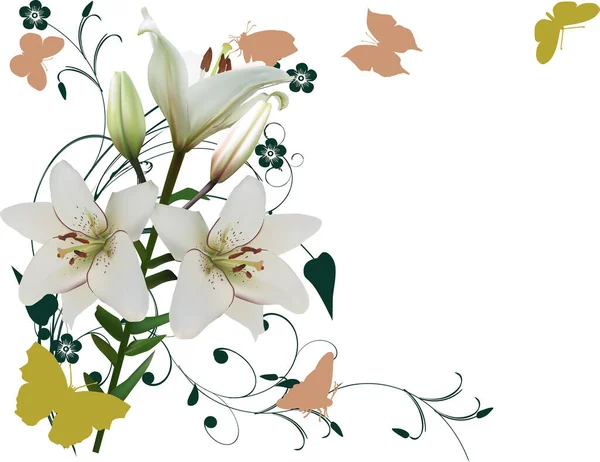 Απεικόνιση Πεταλούδες Και Σύνθεση Λευκών Λουλουδιών Κρίνου — Διανυσματικό Αρχείο