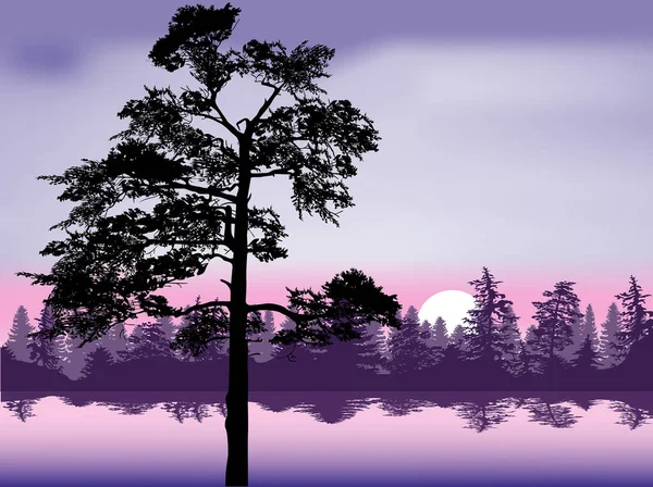 Ilustratie Met Dennenbossen Silhouetten Geïsoleerd Witte Achtergrond — Stockvector