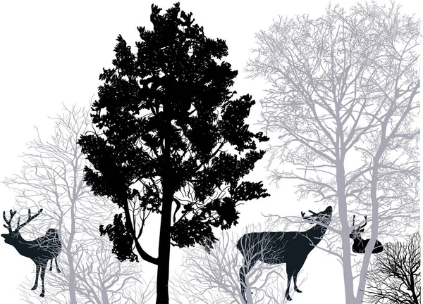 Illustration Avec Cerfs Dans Une Forêt Isolée Sur Fond Blanc — Image vectorielle