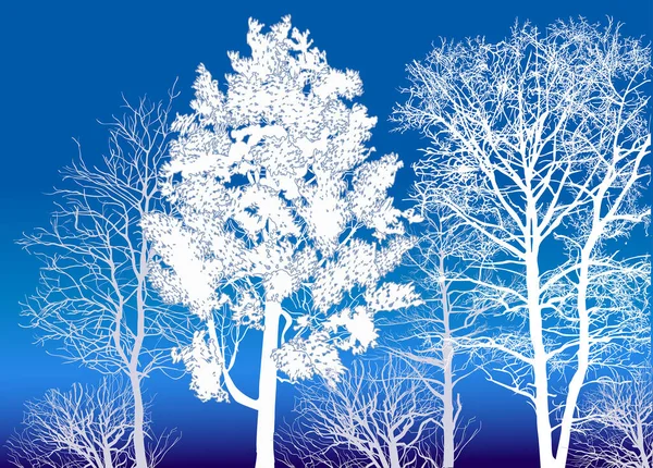 Illustratie Met Winterbomen Blauwe Achtergrond — Stockvector