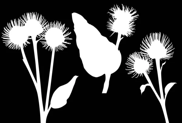 Illustration Avec Silhouettes Bardane Isolées Sur Fond Noir — Image vectorielle