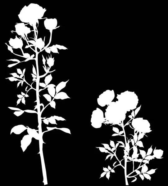 Illustration Mit Rosa Silhouetten Isoliert Auf Schwarzem Hintergrund — Stockvektor