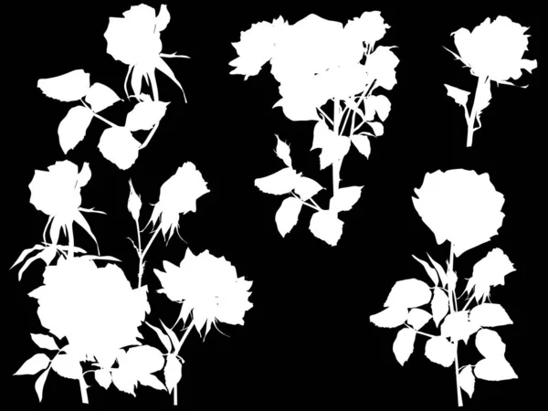带有在黑色背景上孤立的玫瑰剪影的插图 — 图库矢量图片