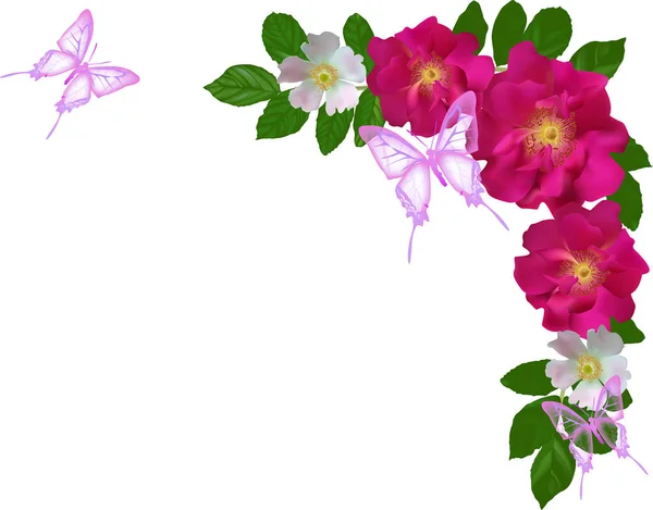 Illustration Avec Des Roses Des Papillons Composition Sur Fond Blanc — Image vectorielle