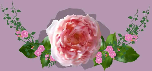Illusztráció Rózsa Rózsaszín Háttér — Stock Vector