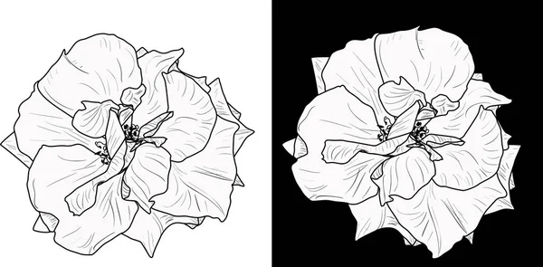 Illustration Avec Petits Croquis Roses Isolés Sur Fond Blanc Blanc — Image vectorielle