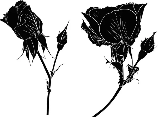 Illustration Avec Petits Croquis Roses Isolés Sur Fond Blanc — Image vectorielle