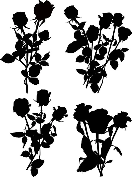 Ilustracja Róży Sylwetki Izolowane Białym Tle — Wektor stockowy