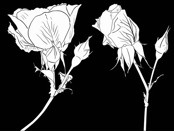 Illustration Avec Petits Croquis Roses Isolés Sur Fond Noir — Image vectorielle