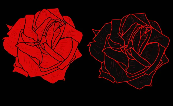 Иллюстрация Изолированными Эскизами Красных Черных Роз — стоковый вектор