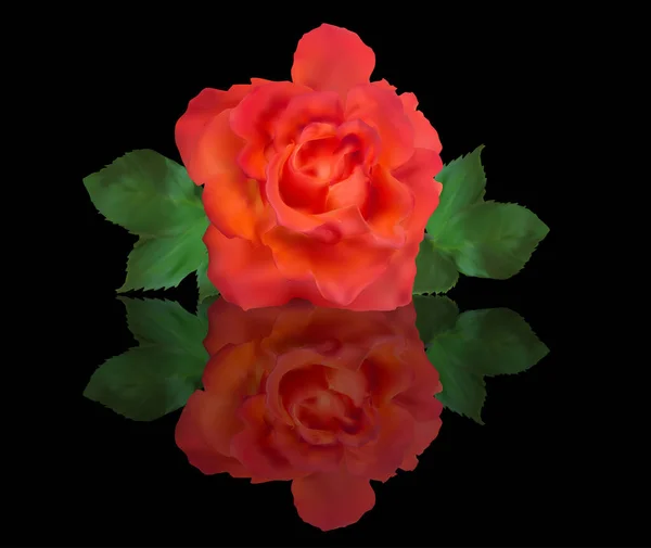 Ilustración Con Una Sola Flor Rosa Roja Aislada Sobre Fondo — Archivo Imágenes Vectoriales