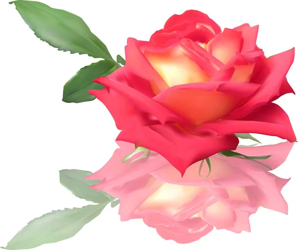 Ilustrasi Dengan Mawar Merah Tunggal Bunga Terisolasi Pada Latar Belakang - Stok Vektor