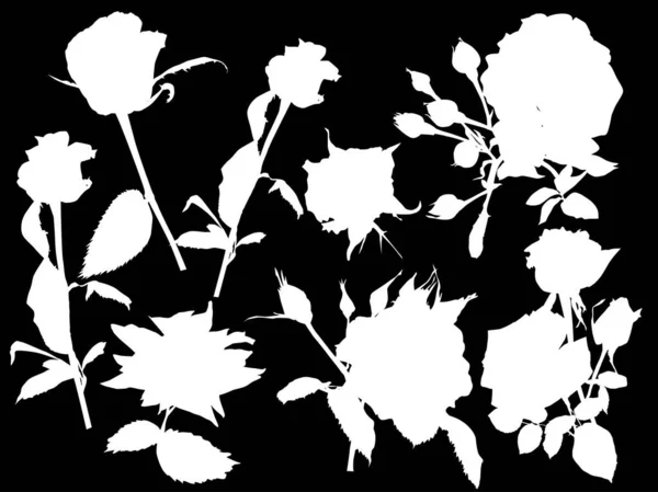 Illustration Avec Des Silhouettes Roses Noires Isolées Sur Fond Noir — Image vectorielle