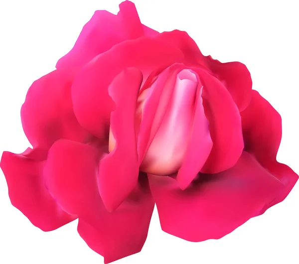 Иллюстрация Одним Цветком Красной Розы Изолированы Белом Фоне — стоковый вектор