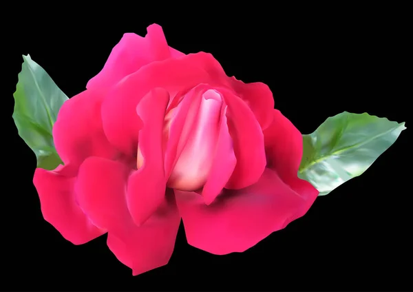 Απεικόνιση Τριαντάφυλλο Λουλούδι Μαύρο Φόντο — Διανυσματικό Αρχείο