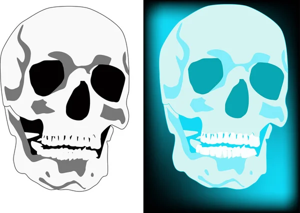 Illustration Avec Deux Crânes — Image vectorielle
